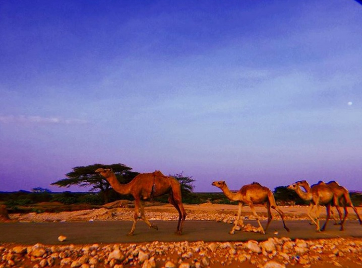 Hargeisa – Somaliland by Aisha Ahmed